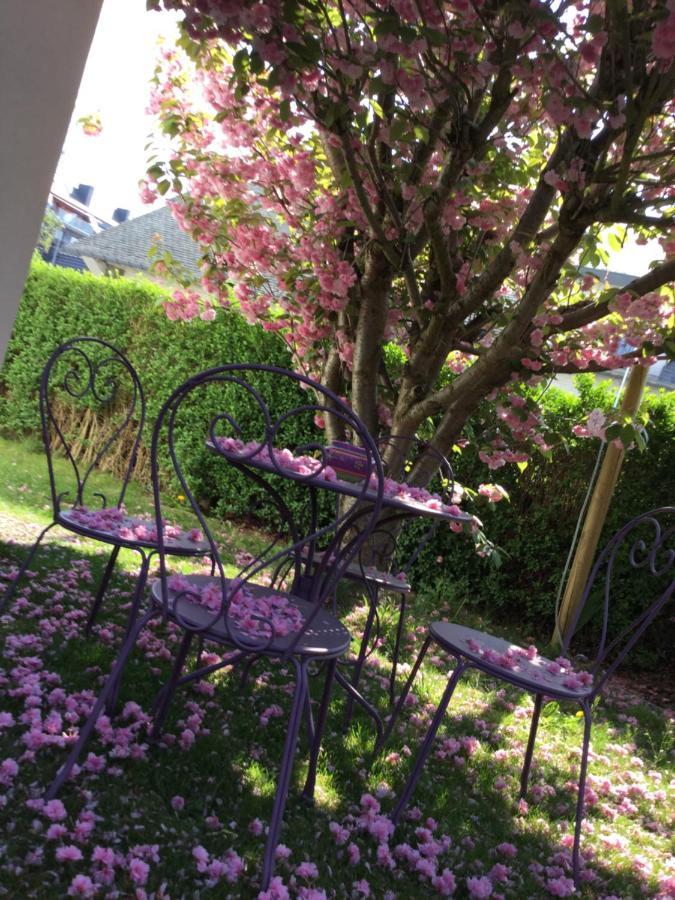 B&B Superieur Villa Vanille Namur Exteriér fotografie